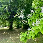 Bed & Breakfast Le Domaine Des Tilleuls Mareuil (Charente)