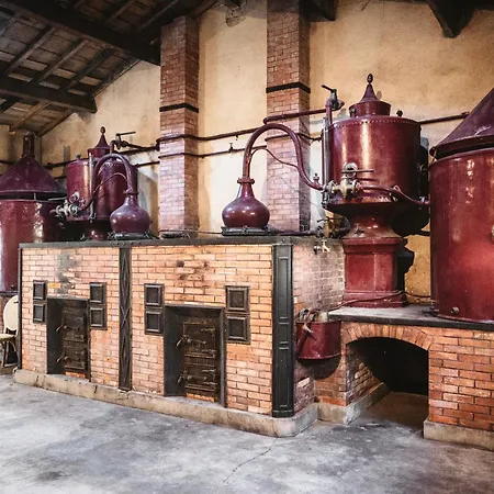 Le Domaine Des Tilleuls Nocleg ze śniadaniem Mareuil (Charente)