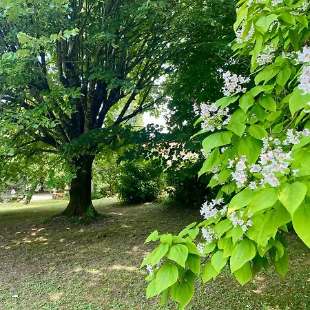 Nocleg ze śniadaniem Le Domaine Des Tilleuls Mareuil (Charente)