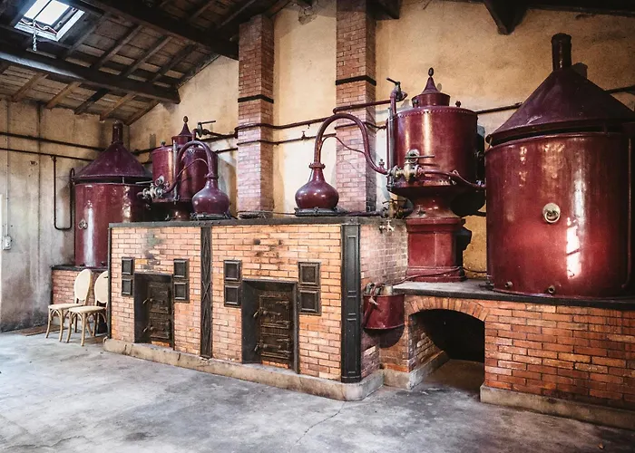 Le Domaine Des Tilleuls Bed and breakfast Mareuil (Charente)