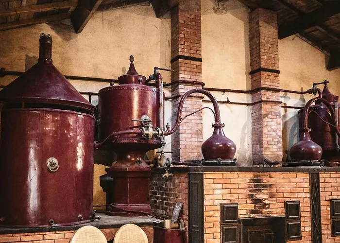 Le Domaine Des Tilleuls