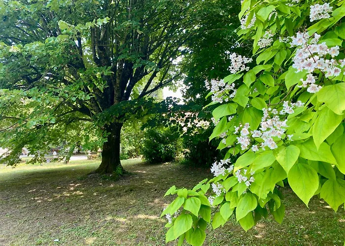 Bed and breakfast Le Domaine Des Tilleuls Mareuil (Charente)